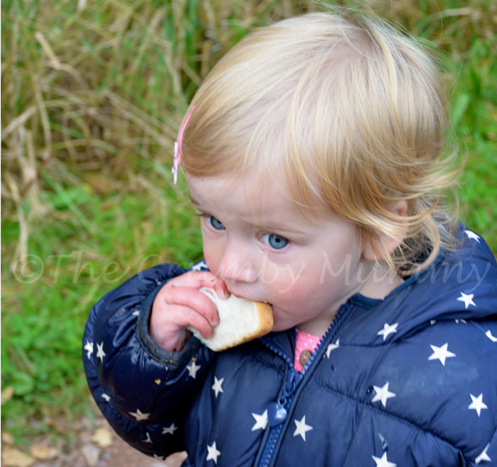 Fun Photo Fun - A Walk In The Park