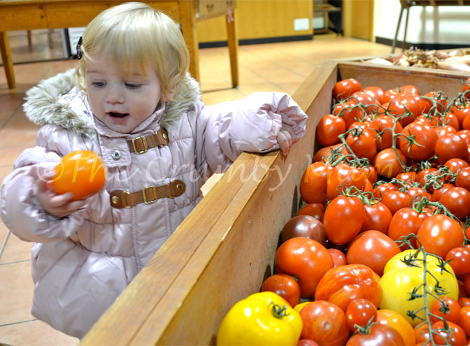 Fun Photo Fun - Shopping!
