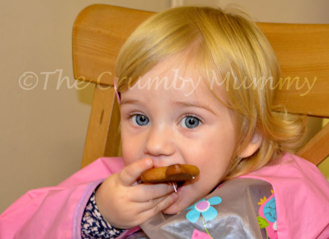 Fun Photo Fun - Gingerbread Decorations