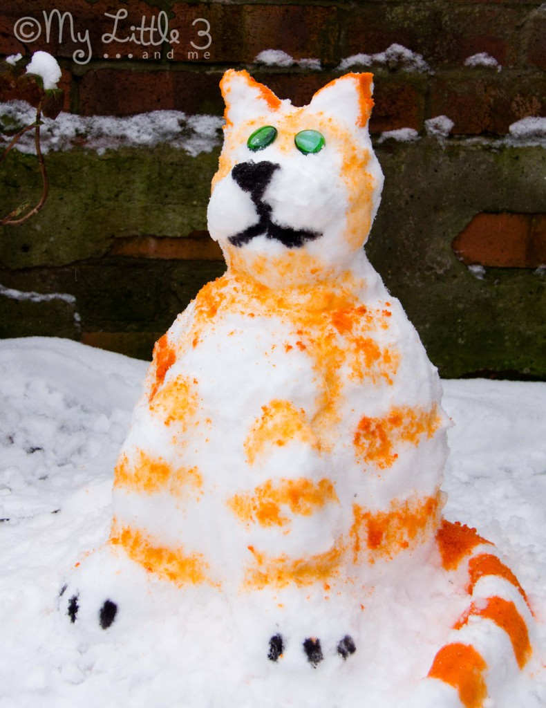 Tabitha-The-Snow-Cat-790x1024