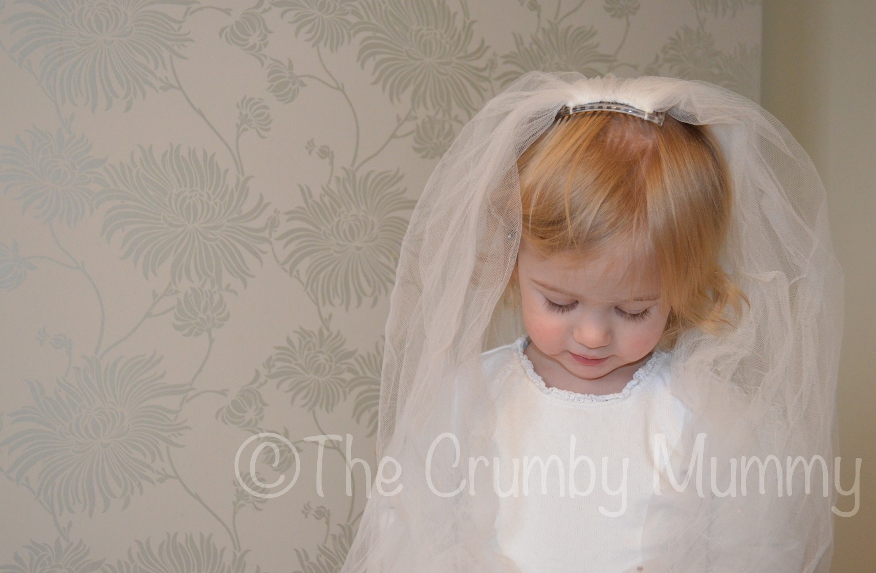 See It! Snap It! Love It! - A Wedding