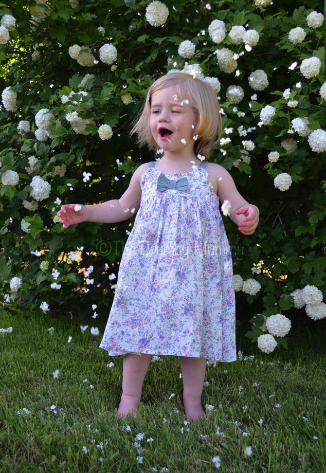 Fun Photo Fun - Confetti