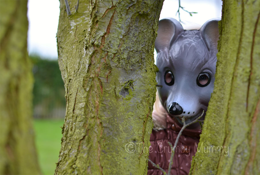 A Woodland Animal Photo Shoot