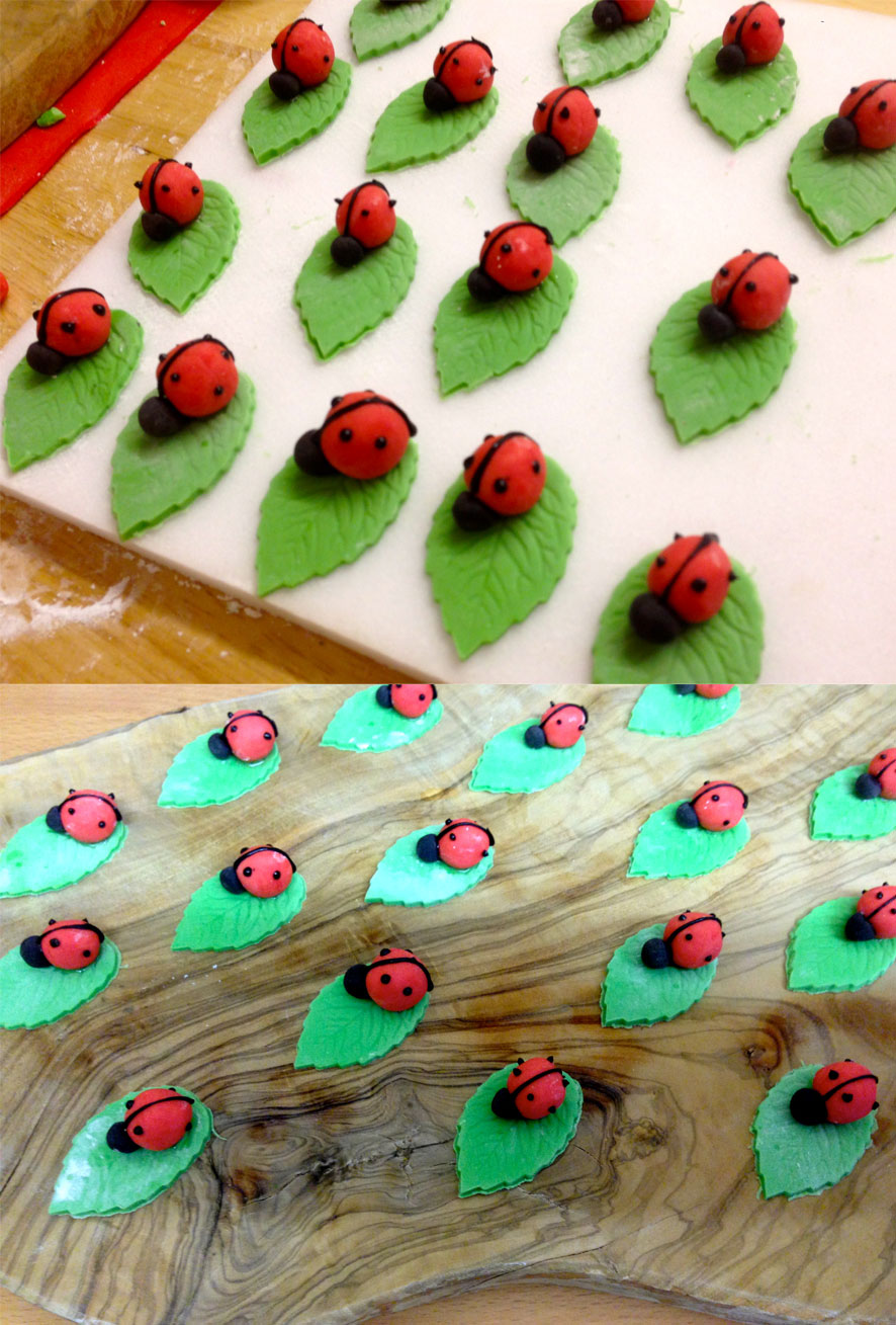 Ladybirds & Strawberry Flowers