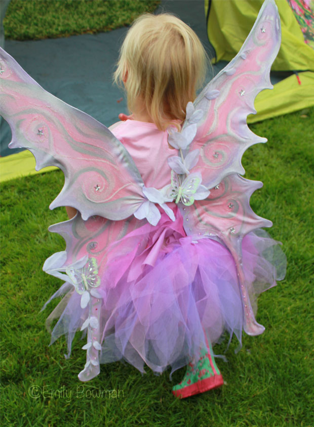 Fabulous-fairy-wings