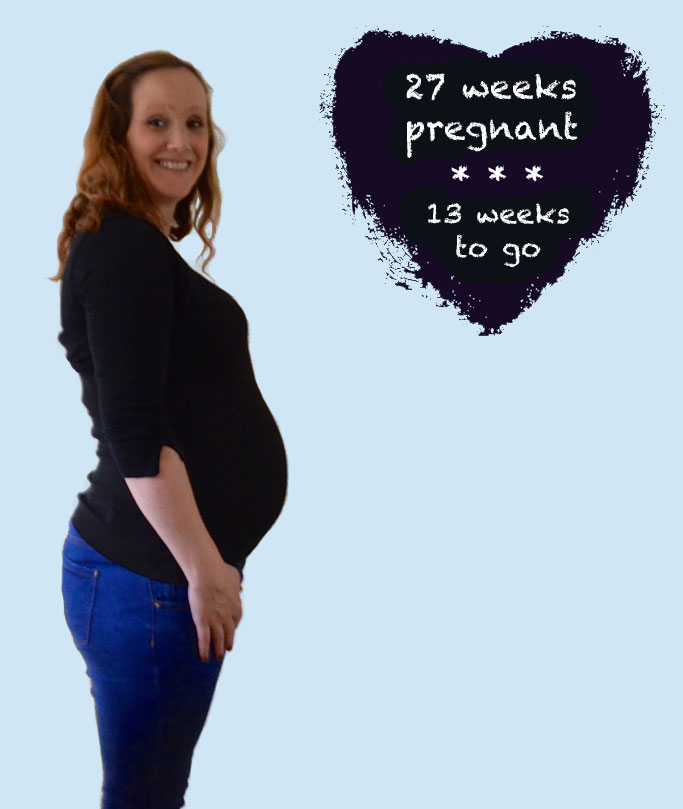 Pregnancy Diaries - 27 Weeks