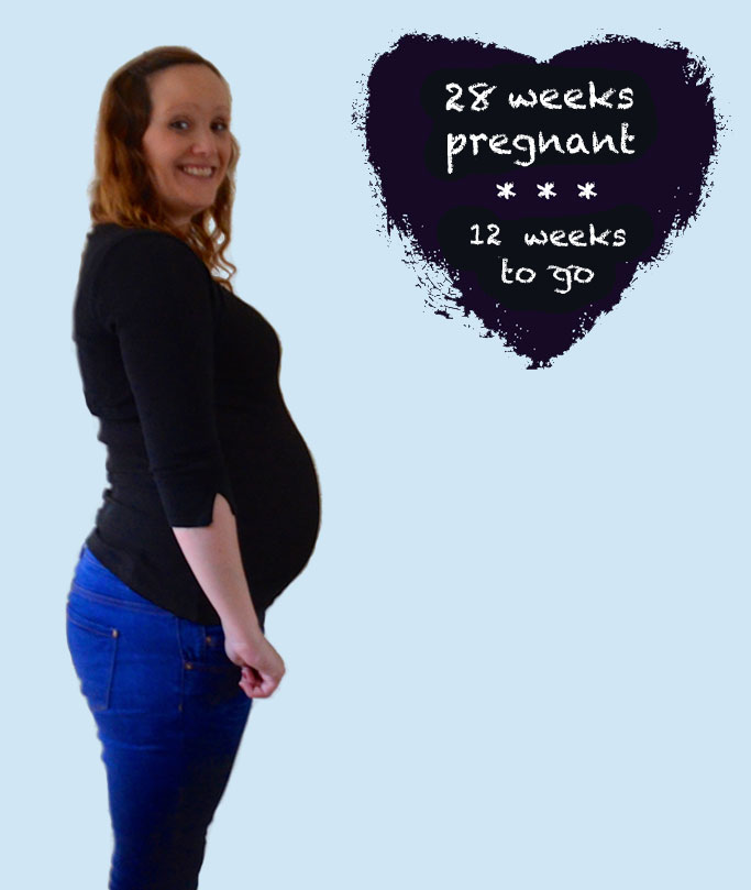 Pregnancy Diaries - 28 Weeks