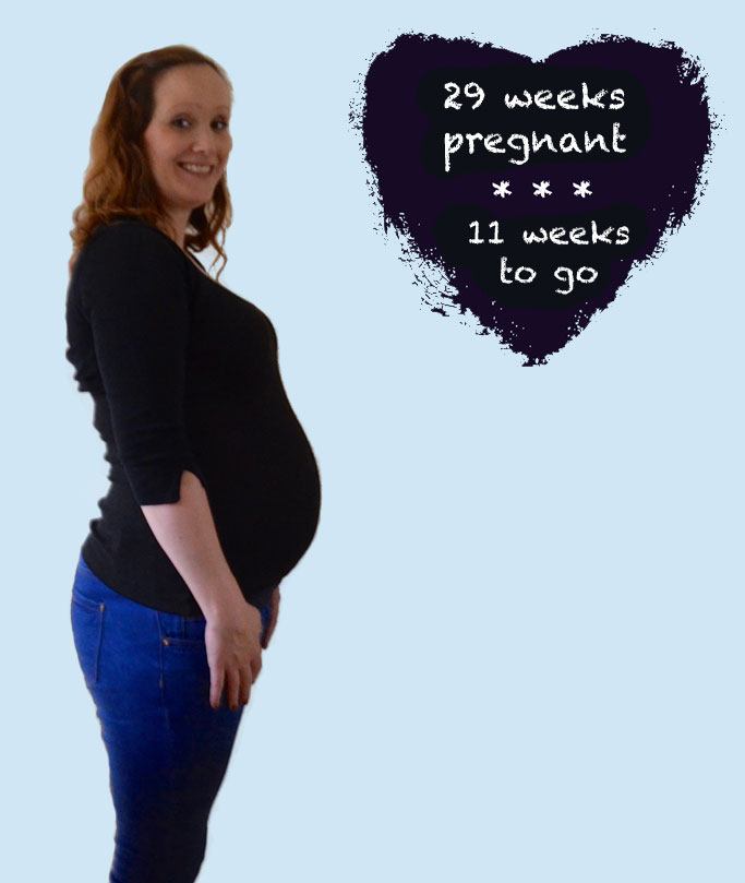 Pregnancy Diaries - 29 Weeks