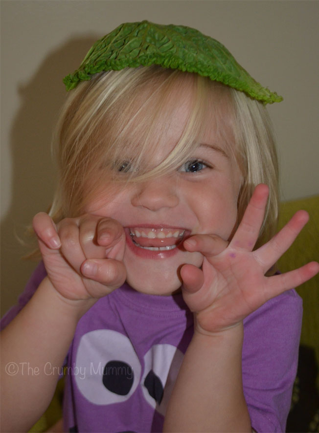 The Size Of A Green Cabbage