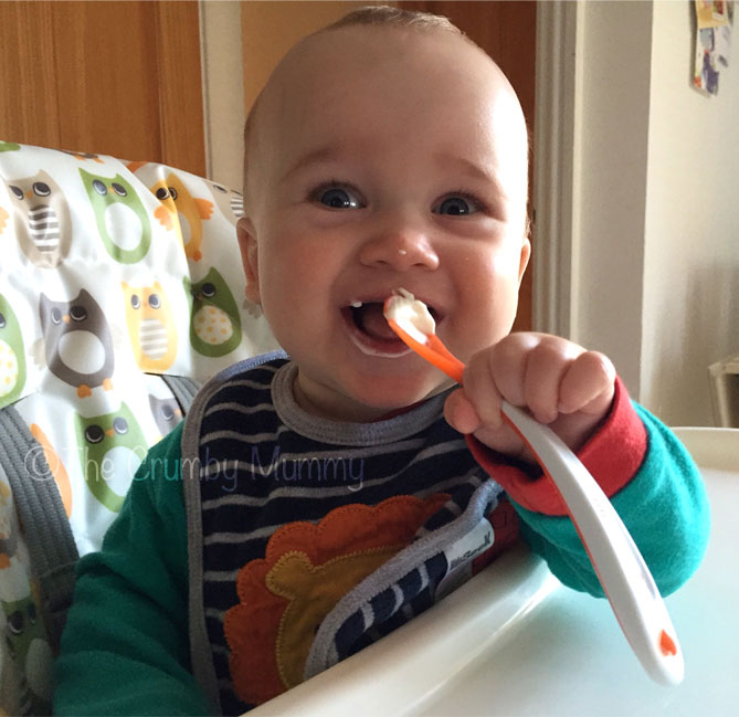 baby first tastes weaning