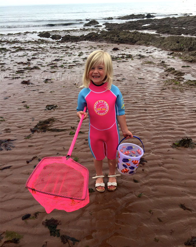 rock pooling in devon