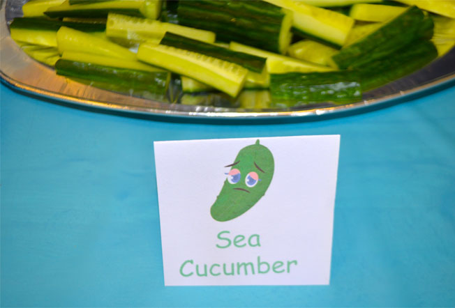 under the sea party food sea cucumbers