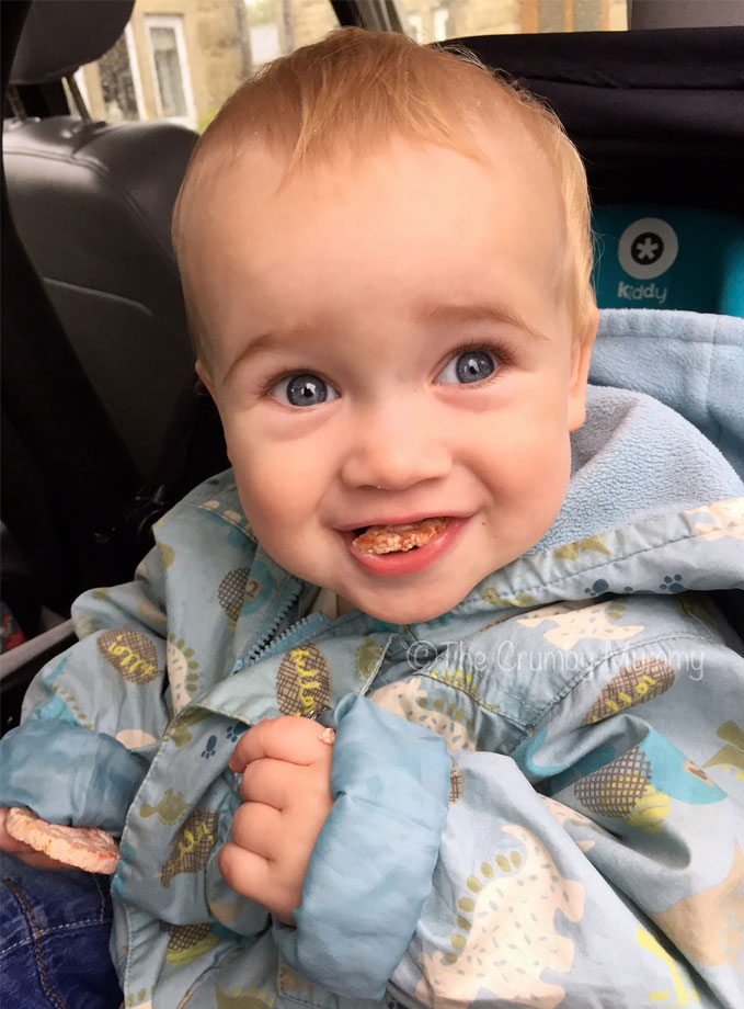 baby led weaning finger food