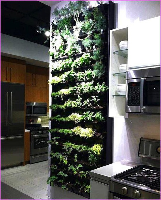 indoor herb garden