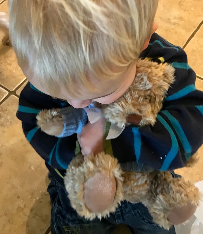 teddy bear for a toddler