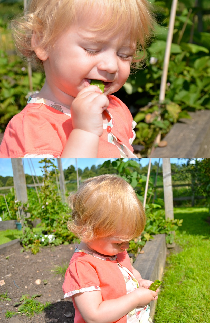 Budget Friendly Ways How To Have Fun With The Whole Family