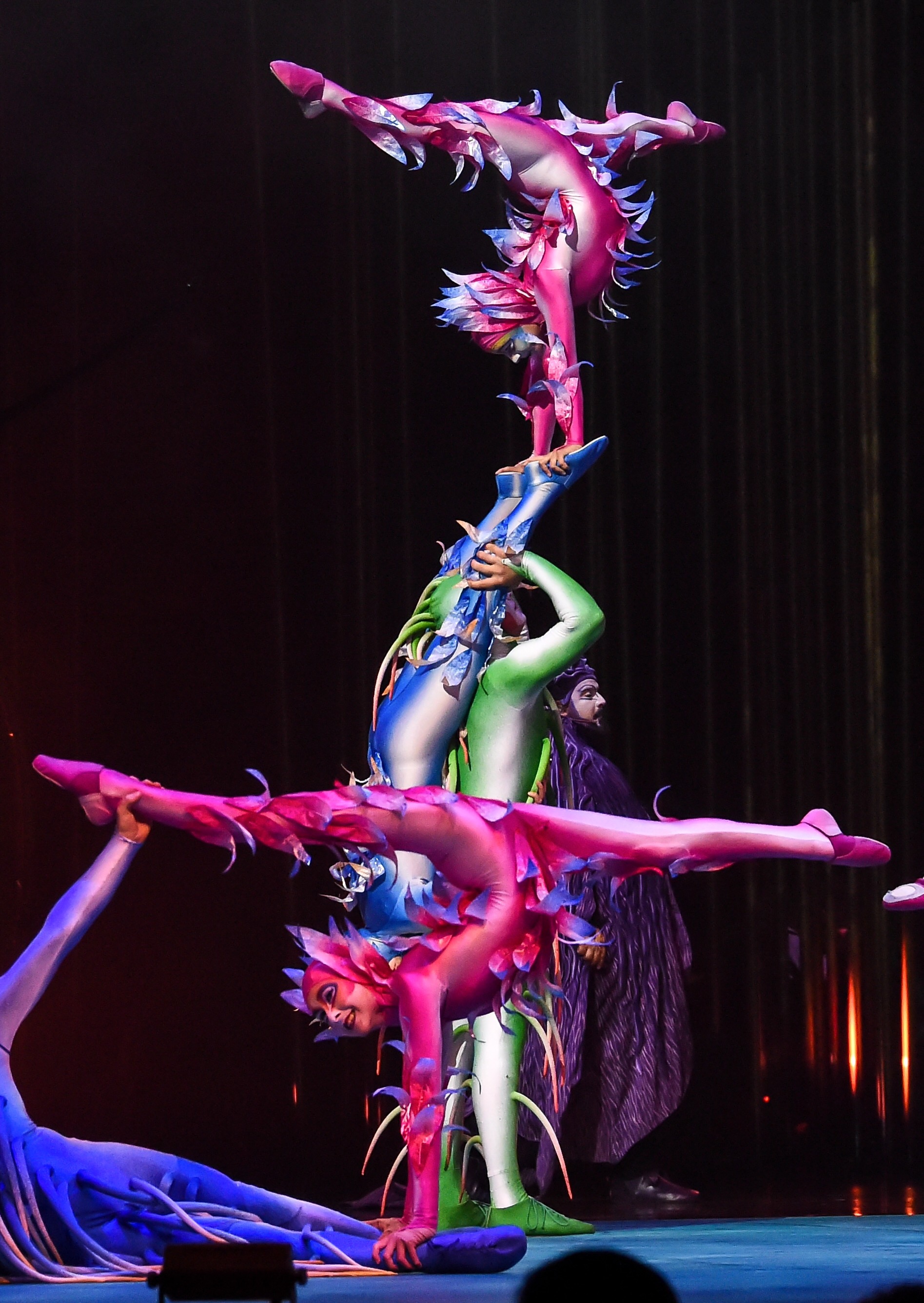 Cirque Du Soleil Varekai Review